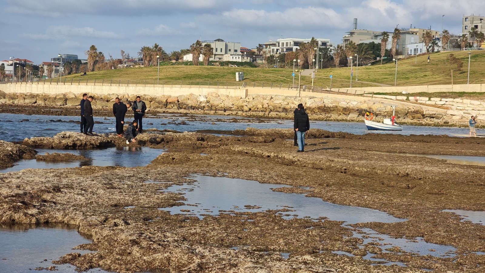 WhatsApp Image 2023-02-20 at 5.53.59 PM (12).jpeg